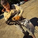 Grounded eagles returned to flight