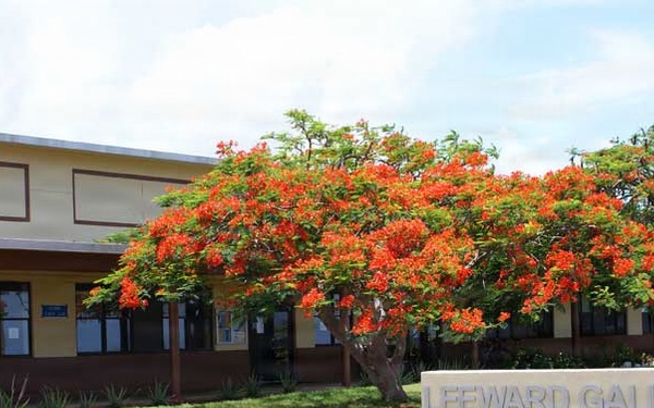 OMC Website - Leeward Galley