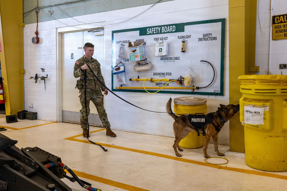 8th Military Police Brigade military working dog teams validation