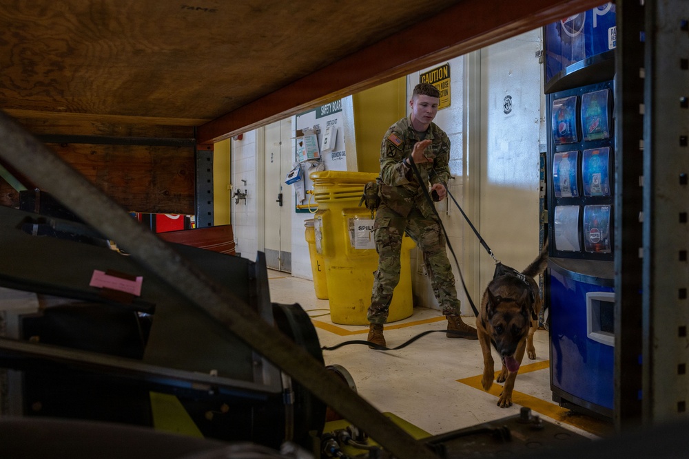 8th Military Police Brigade military working dog teams validation