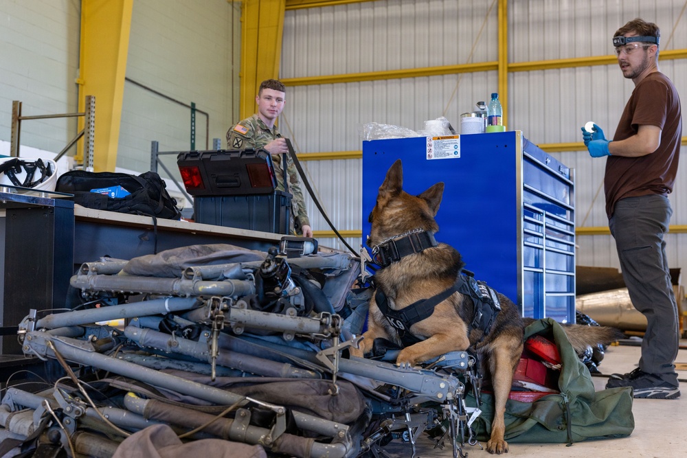 8th Military Police Brigade military working dog teams validation