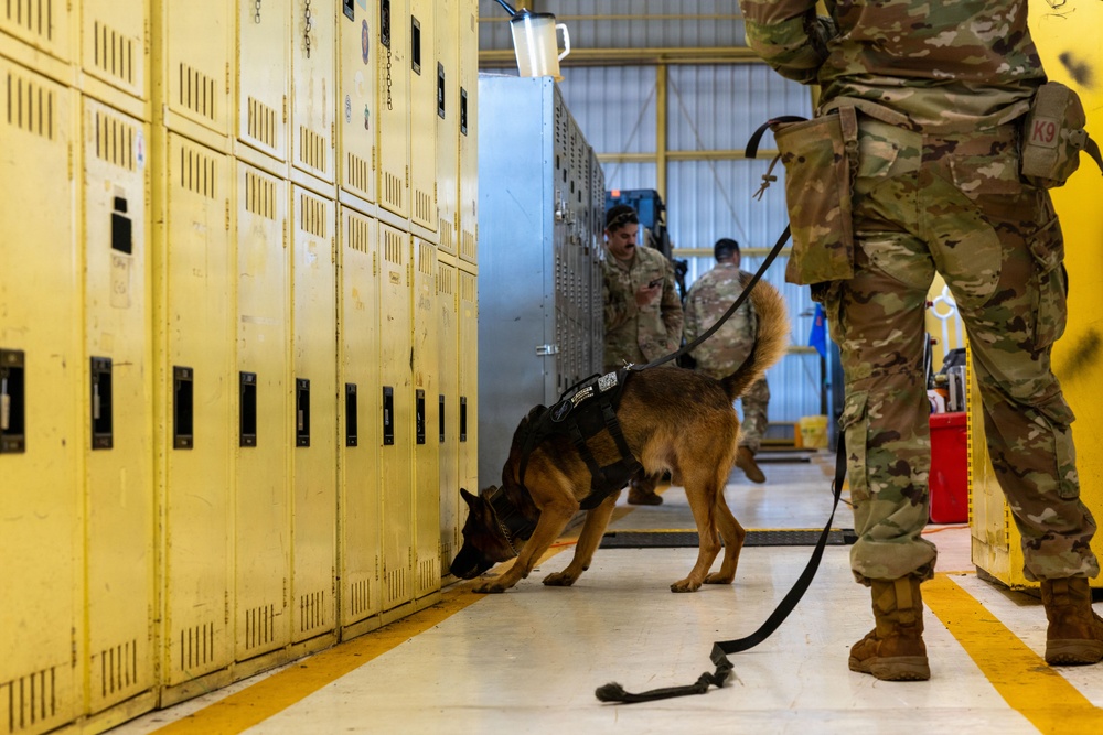 8th Military Police Brigade military working dog teams validation