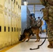 8th Military Police Brigade military working dog teams validation