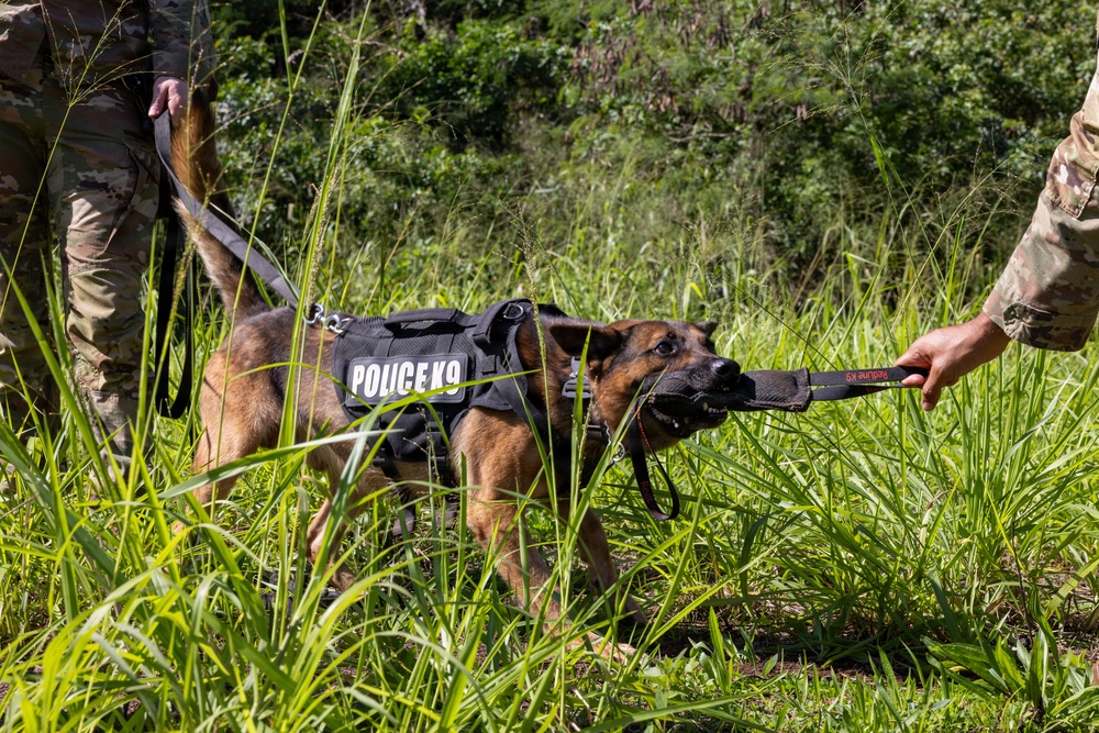 8th Military Police Brigade military working dog teams validation