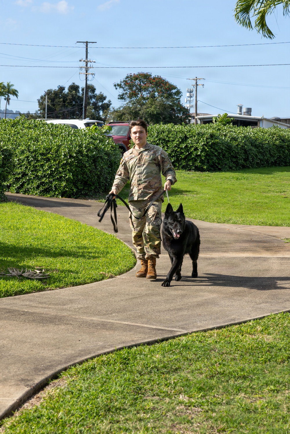 8th Military Police Brigade military working dog teams validation