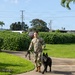 8th Military Police Brigade military working dog teams validation