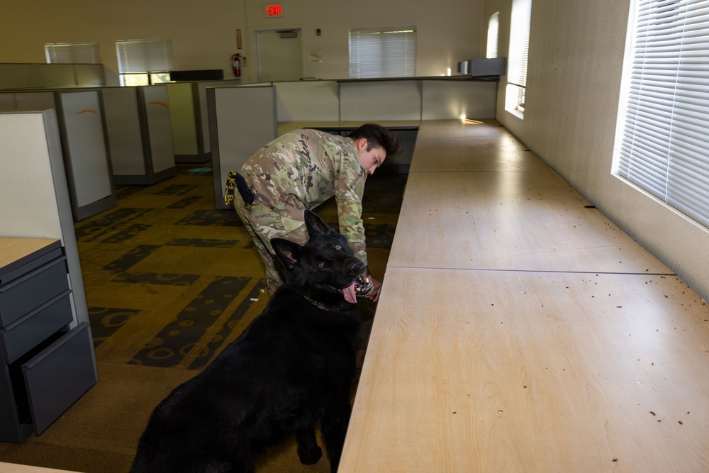 8th Military Police Brigade military working dog teams validation