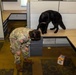 8th Military Police Brigade military working dog teams validation