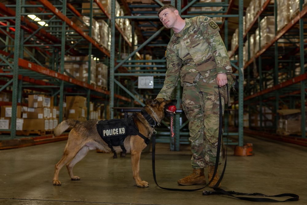 8th Military Police Brigade military working dog teams validation