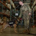 8th Military Police Brigade military working dog teams validation