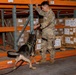 8th Military Police Brigade military working dog teams validation