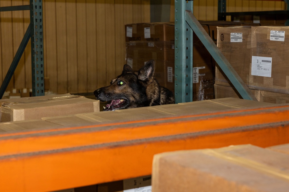 8th Military Police Brigade military working dog teams validation