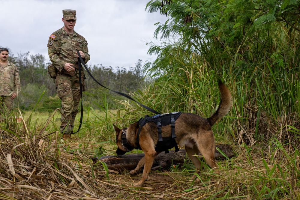 8th Military Police Brigade military working dog teams validation