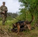 8th Military Police Brigade military working dog teams validation