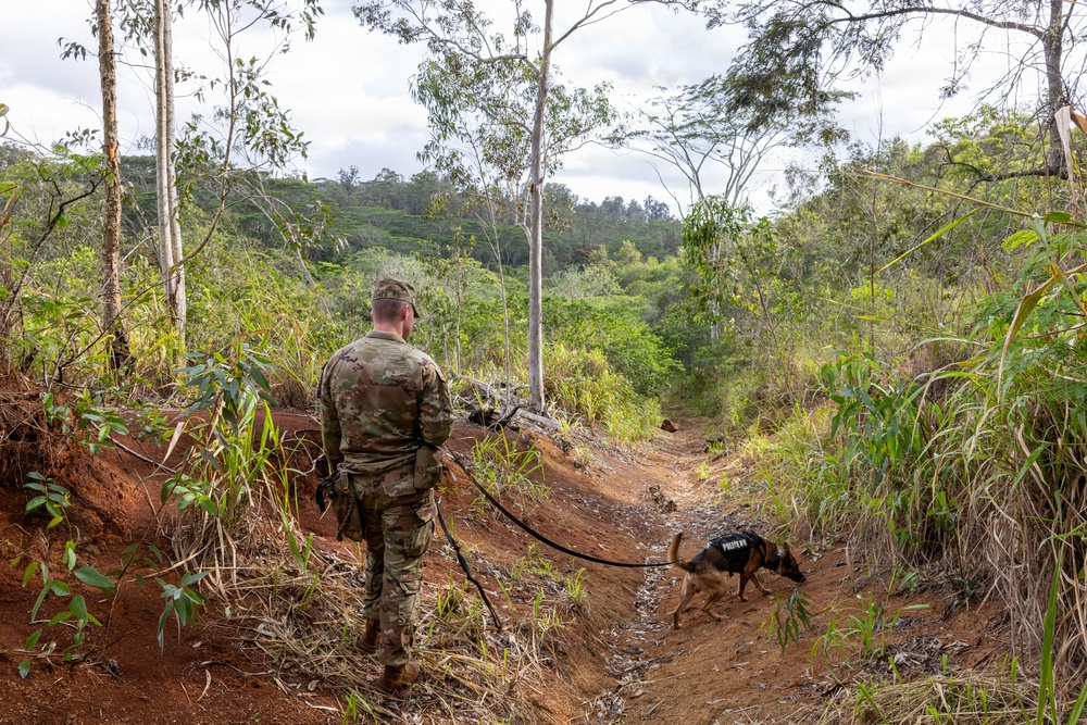 8th Military Police Brigade military working dog teams validation