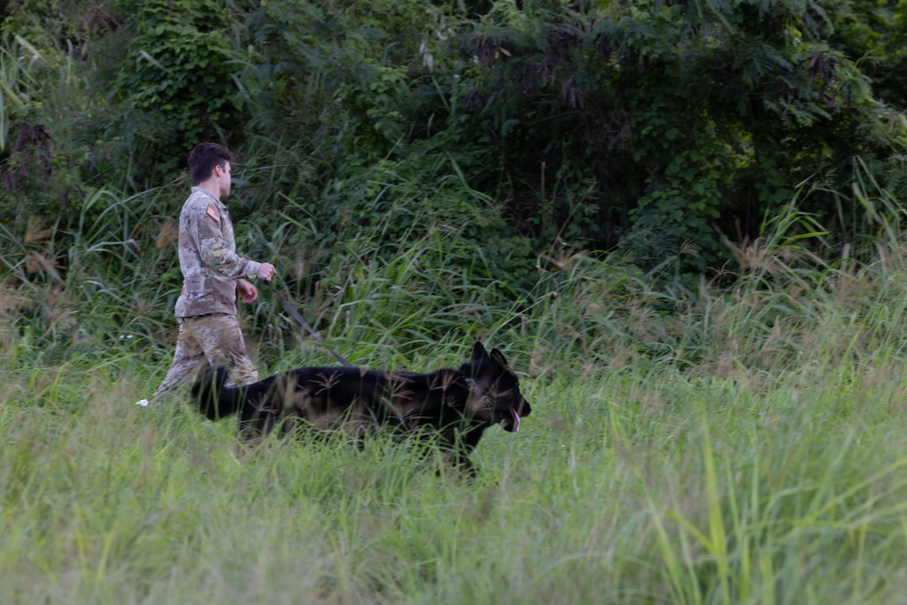 8th Military Police Brigade military working dog teams validation