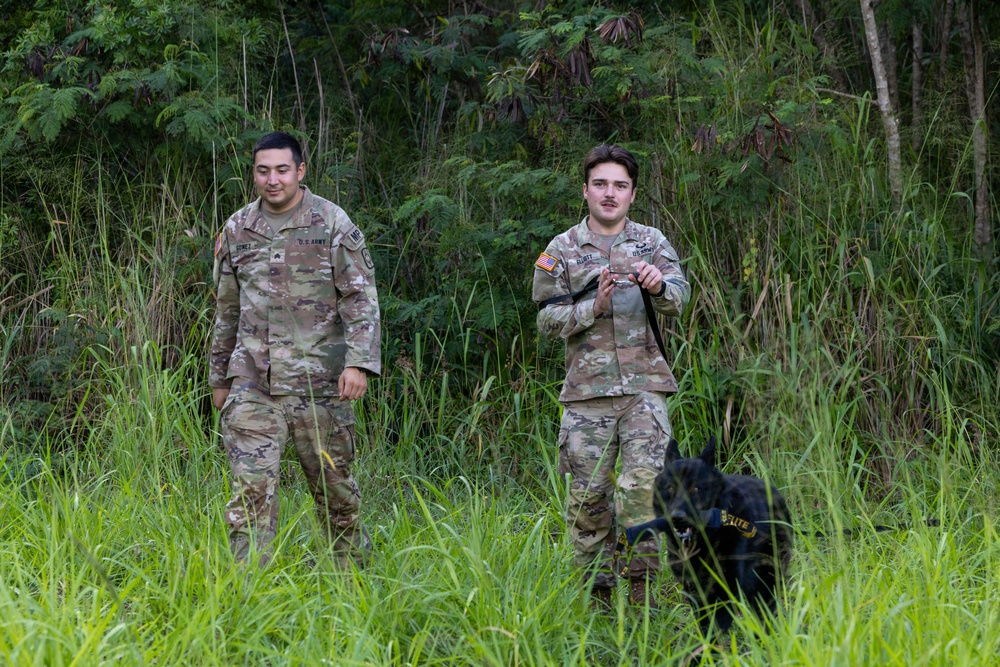 8th Military Police Brigade military working dog teams validation