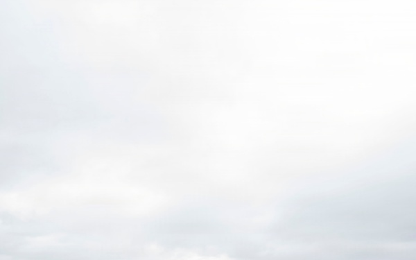 Joint Task Force-Bravo receives Denton Delivery in Honduras