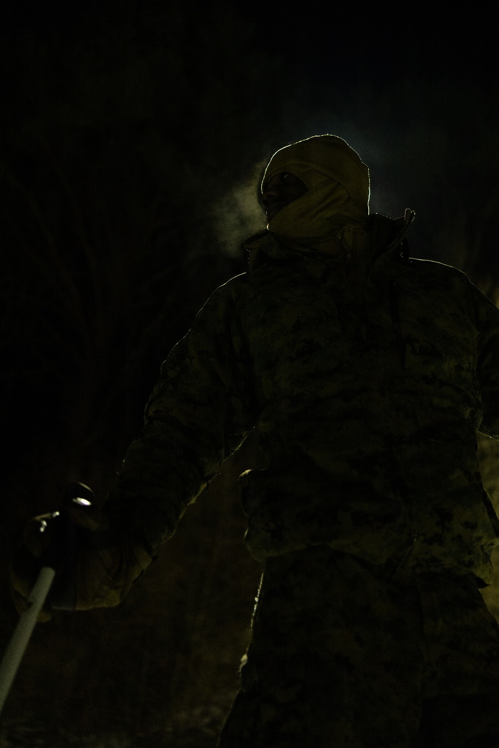 Korea Viper 26.1 | V16 Conducts Cold Weather Training Alongside ROK Marines