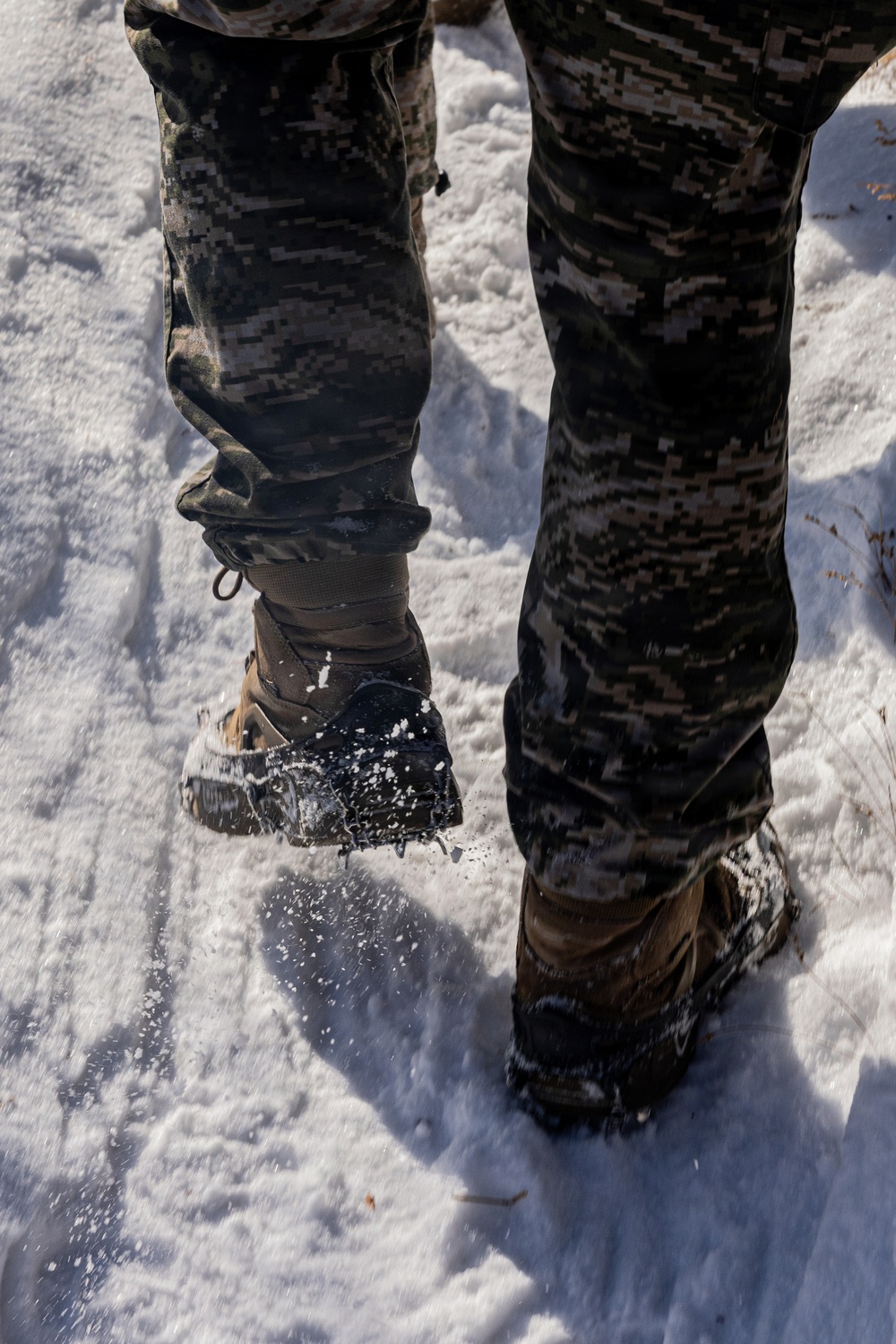 Korea Viper 26.1 | V16 Conducts 20k Hike up Elevation Alongside ROK Marines