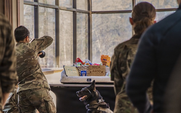 Military Working Dog Retires