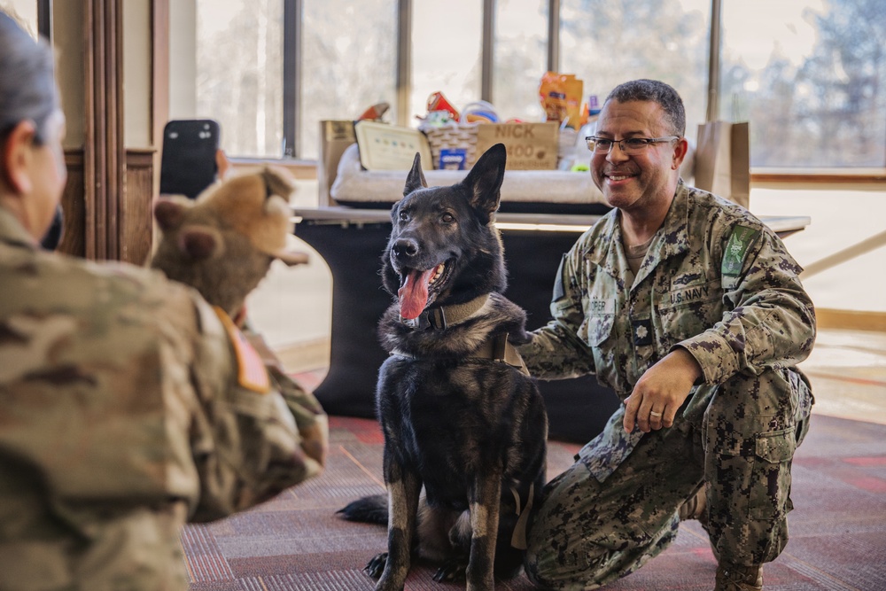 Military Working Dog Retires