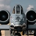 75th EFGS Launches A-10 Thunderbolt II Aircraft
