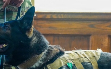 A “Tail” of Service: Famous “Doggles” dog MWD Nick retires after six years