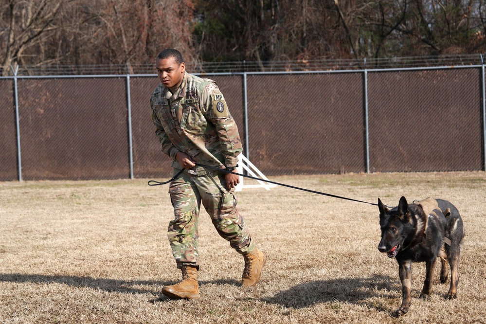 A “Tail” of Service: Famous “Doggles” dog MWD Nick retires after six years