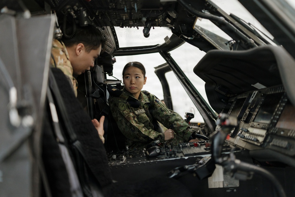Japanese Ground Self Defense Forces Young Officer Development