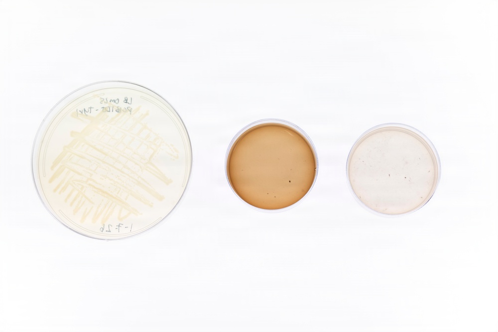 Microbial Biomanufacturing