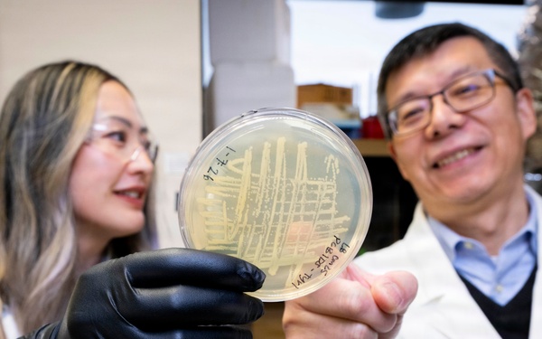 Microbial Biomanufacturing