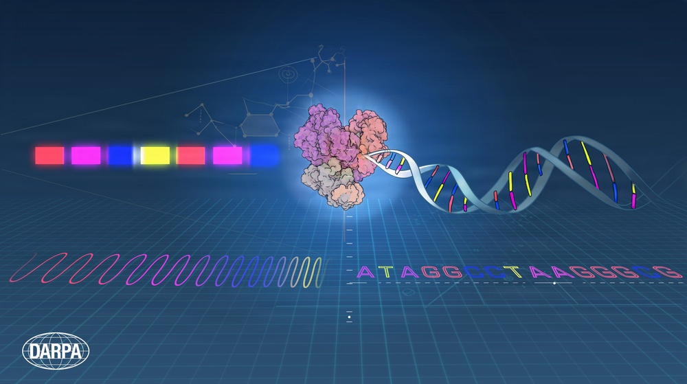 GO: Generative Optogenetics