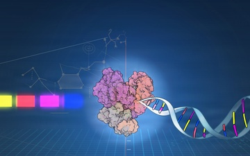 GO: Generative Optogenetics