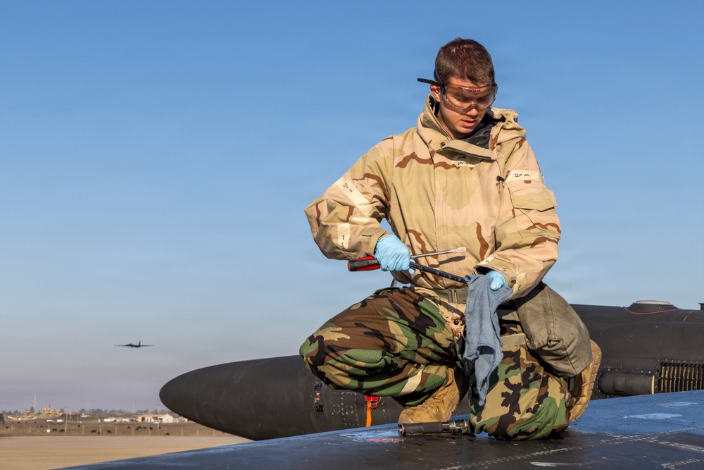 Exercise Dragon Shield