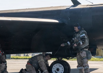 Exercise Dragon Shield