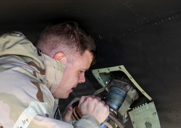 Exercise Dragon Shield