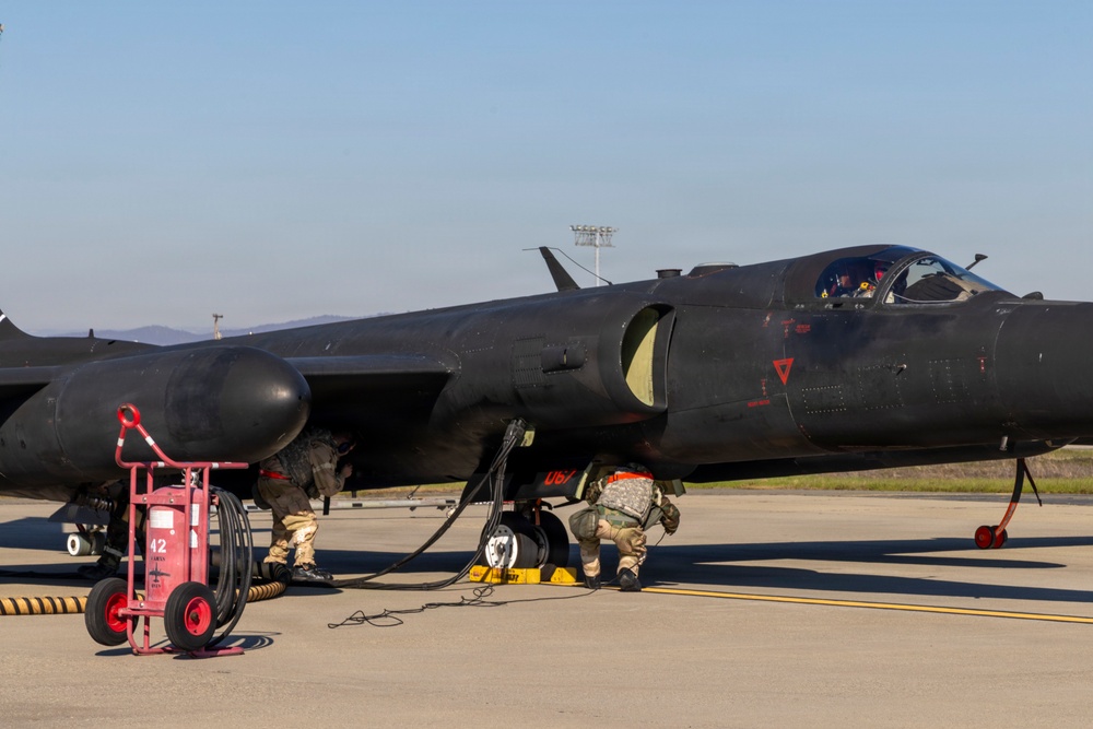 Exercise Dragon Shield