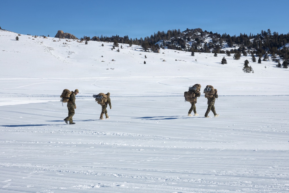 MTX 1-26 | Combat Logistics Battalion 24 Establish Field Lodging