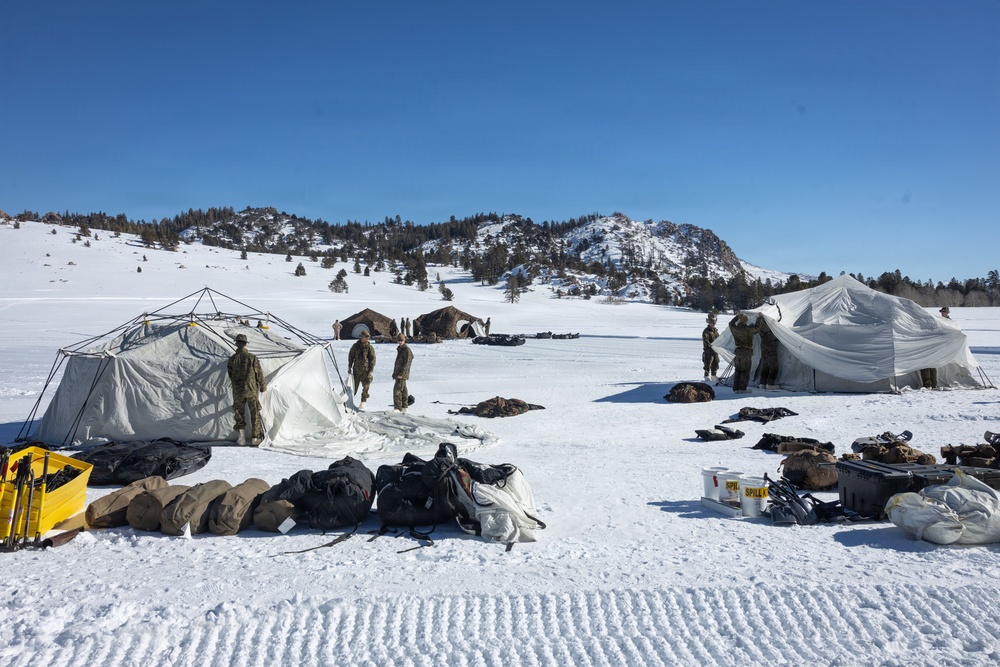 MTX 1-26 | Combat Logistics Battalion 24 Establish Field Lodging