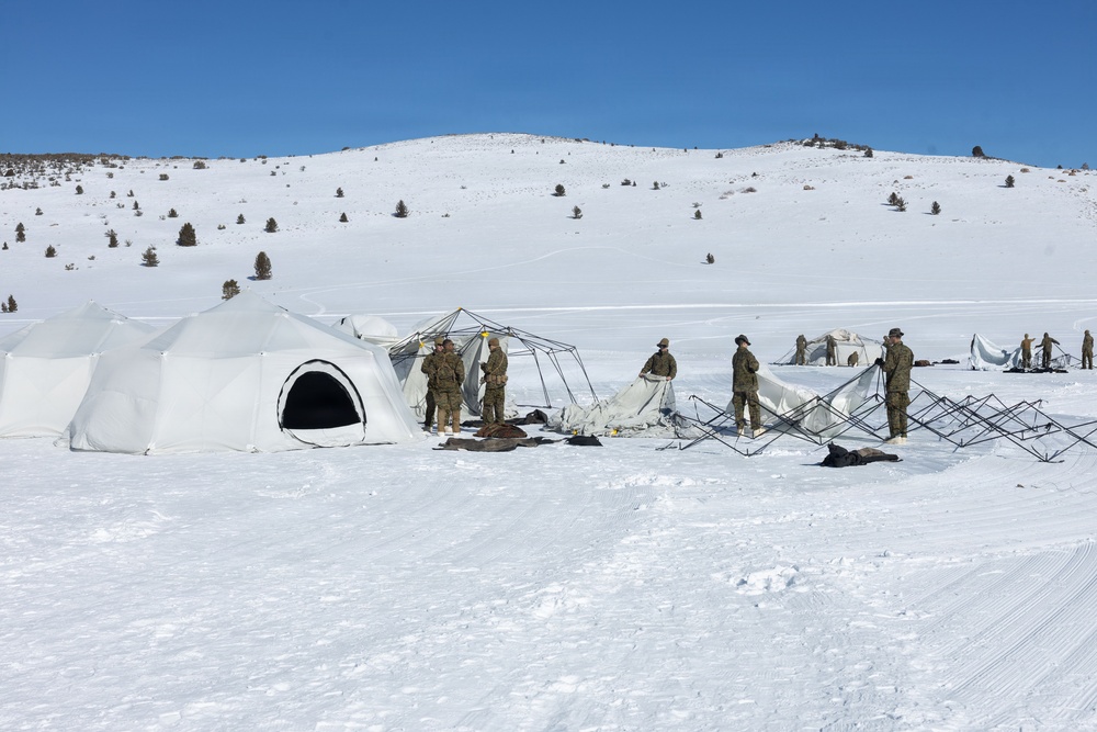 MTX 1-26 | Combat Logistics Battalion 24 Establish Field Lodging