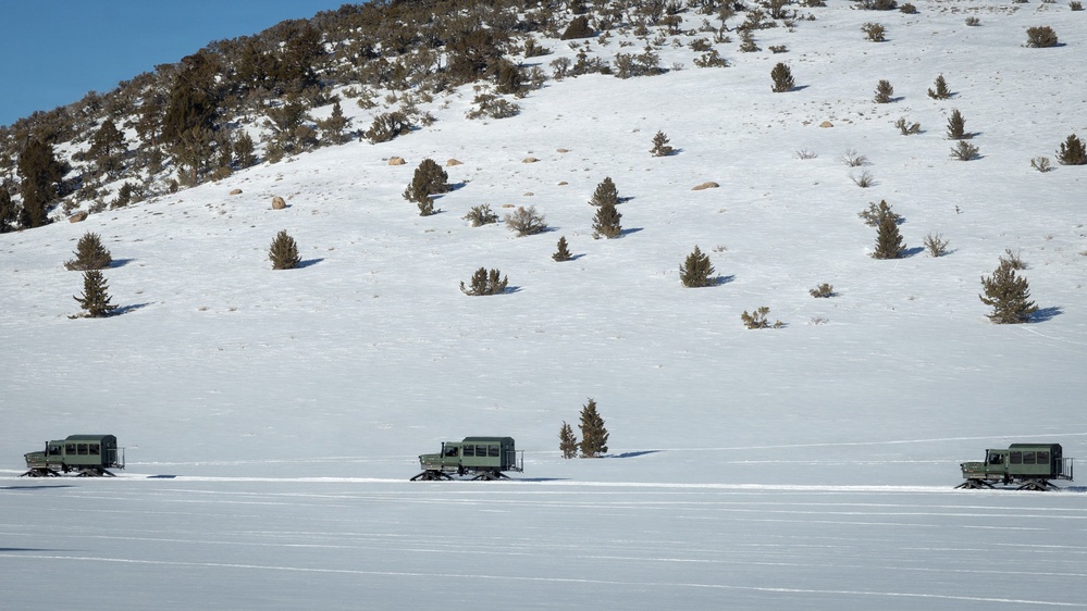 MTX 1-26 | Combat Logistics Battalion 24 Establish Field Lodging