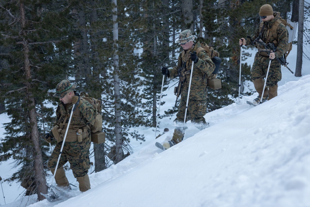 MTX 1-26 | Combat Logistics Battalion 24 Mountain Operation Staff Planning Course