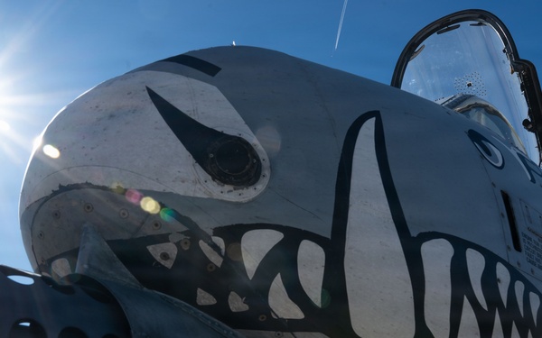 2025 Yearly Load Competition