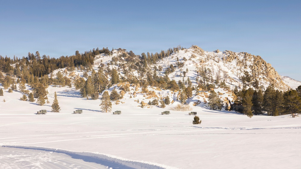 MTX 1-26 | Combat Logistics Battalion 24 Establish Field Lodging