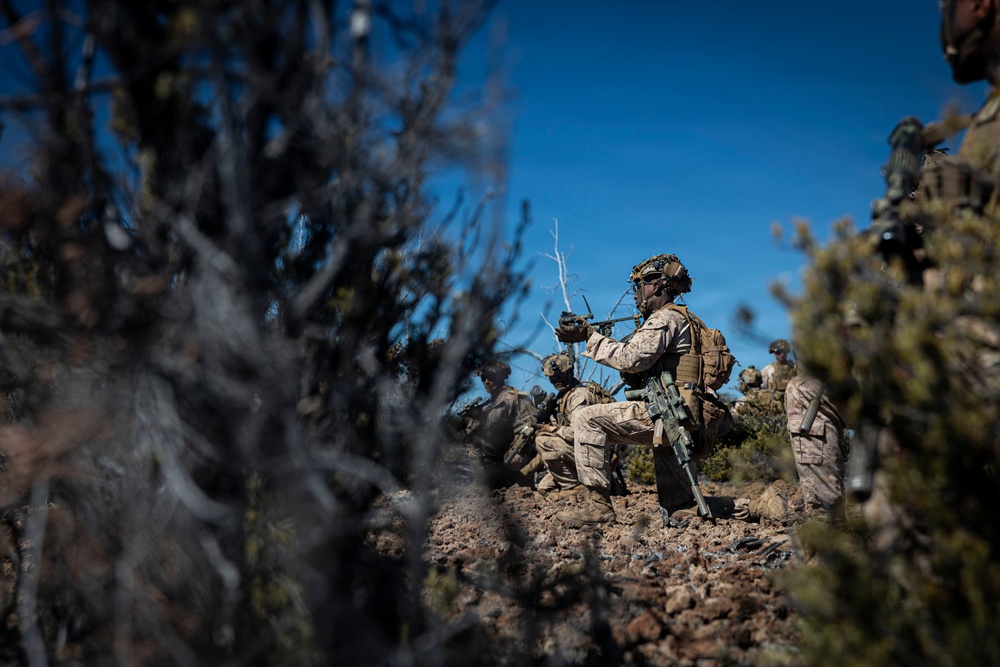 3rd LCT executes dry-fire squad attacks at PTA