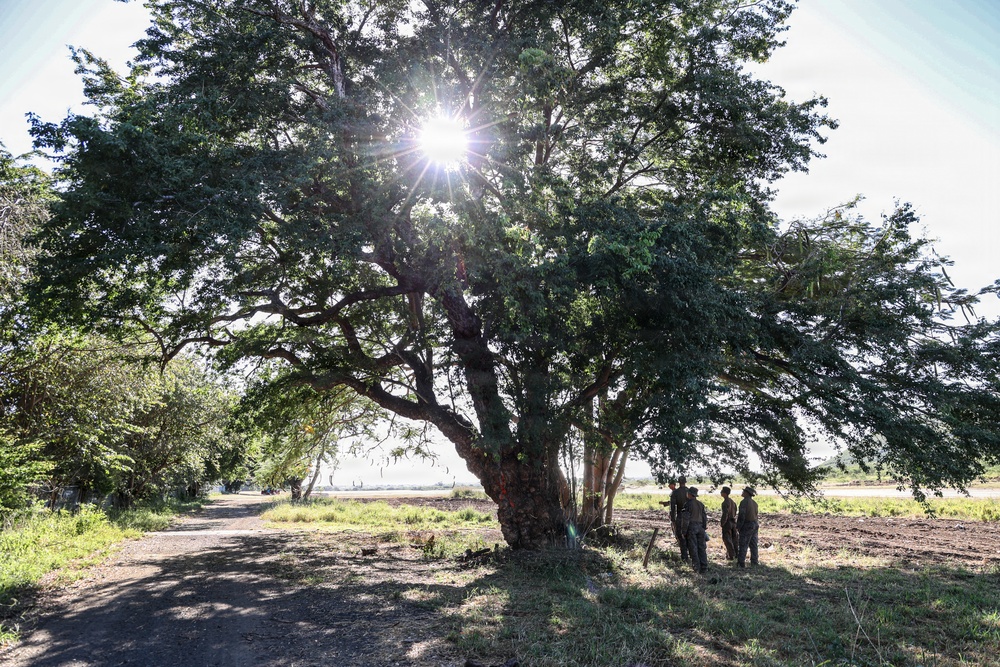 22nd MEU(SOC) | BLT 3/6 Conducts Airstrip Improvement Operations in Puerto Rico