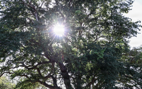 22nd MEU(SOC) | BLT 3/6 Conducts Airstrip Improvement Operations in Puerto Rico