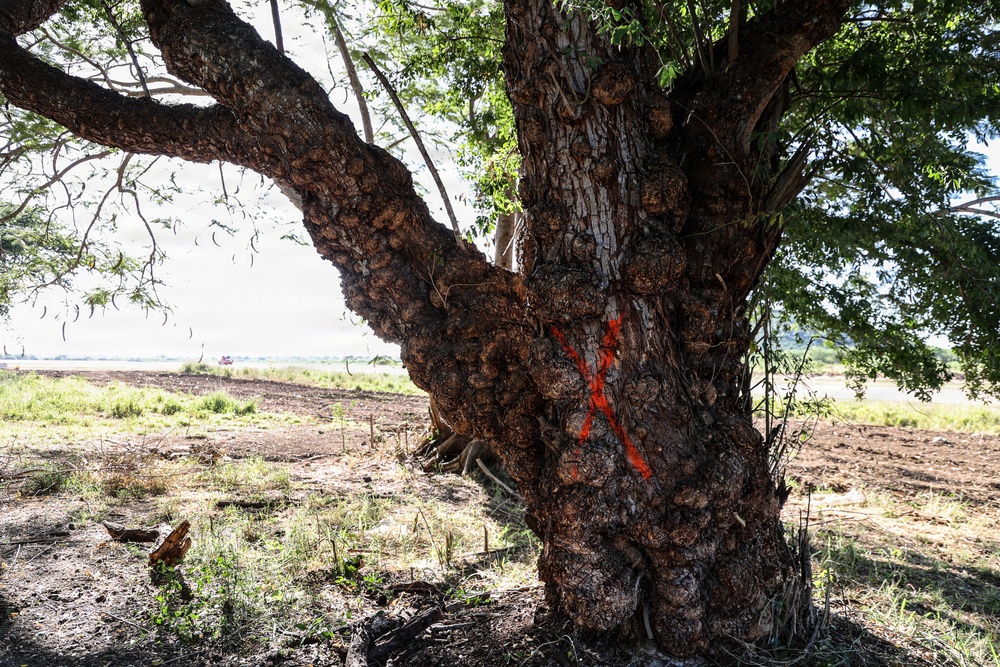 22nd MEU(SOC) | BLT 3/6 Conducts Airstrip Improvement Operations in Puerto Rico
