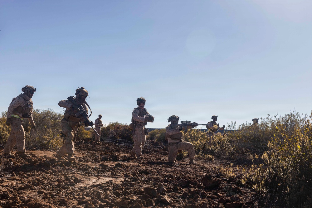 3rd LCT executes live-fire squad attacks at PTA